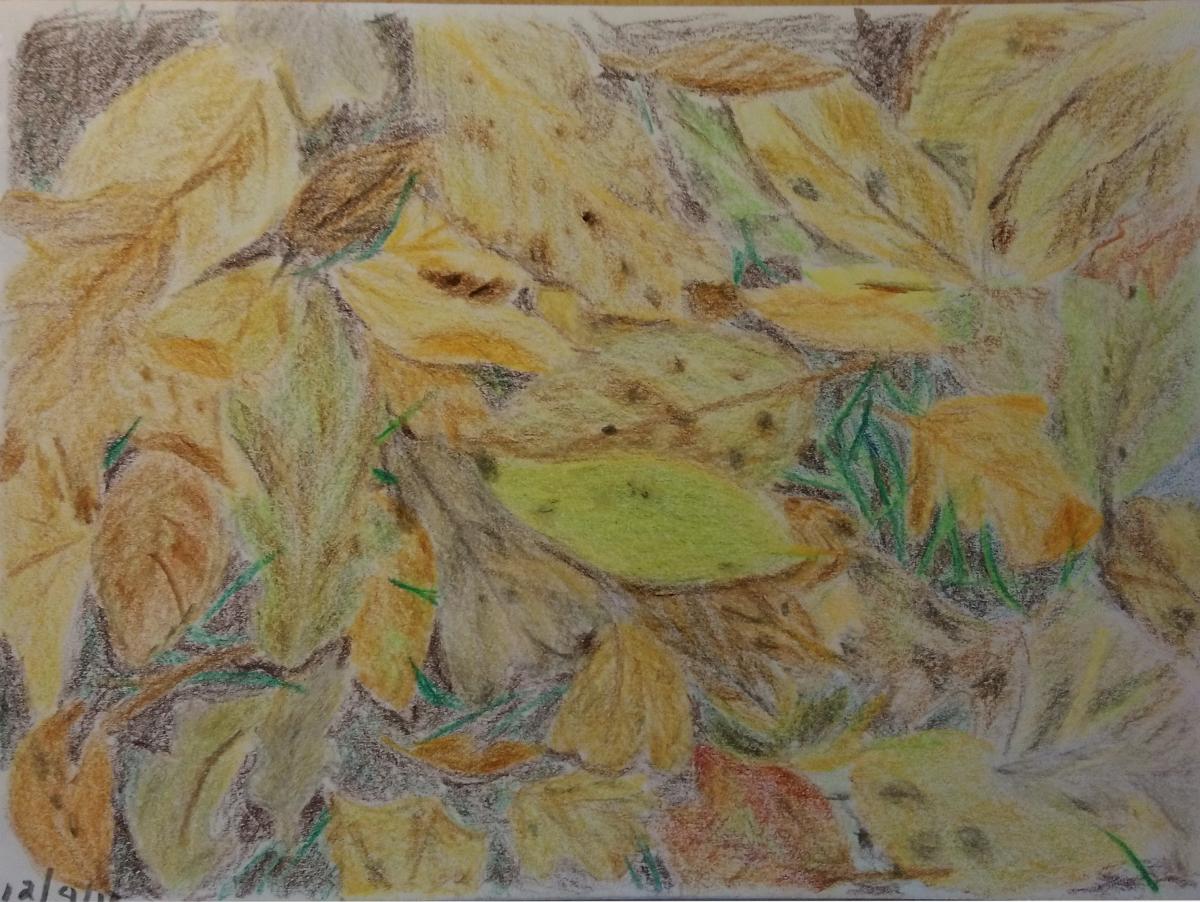 171- Yellow leaf among dried ones.